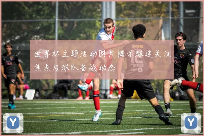 世界杯主题活动图片揭示球迷关注焦点与球队备战动态